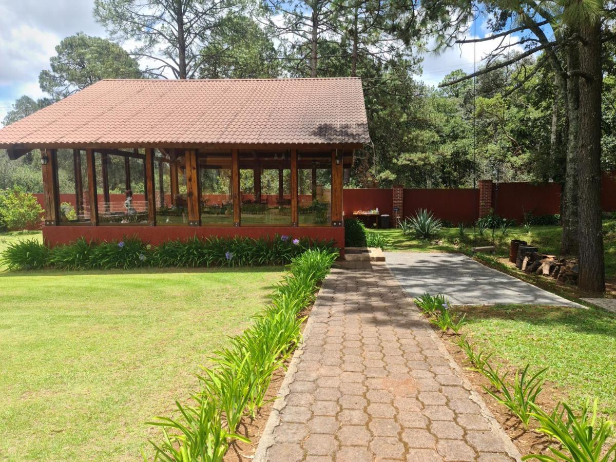 Finca Los Angeles Hospederia & Sociales Huasca de Ocampo Exterior photo