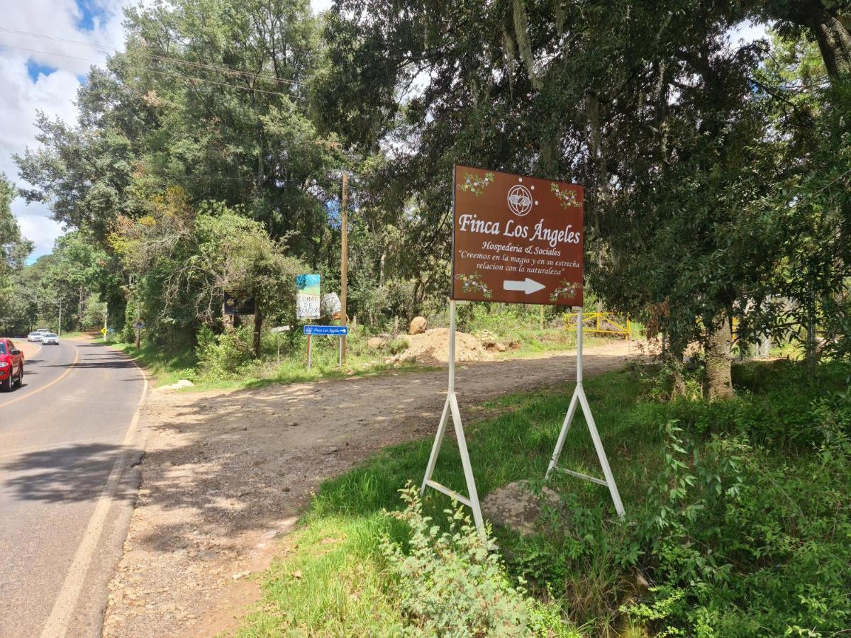 Finca Los Angeles Hospederia & Sociales Huasca de Ocampo Exterior photo